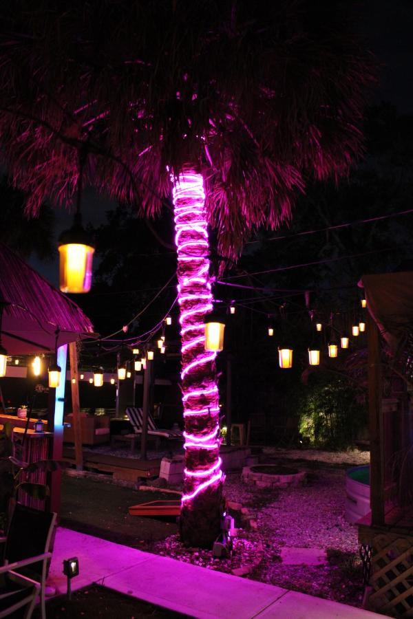 World Solo Travel'S Welcomed At St Pete Home セント・ピーターズバーグ エクステリア 写真