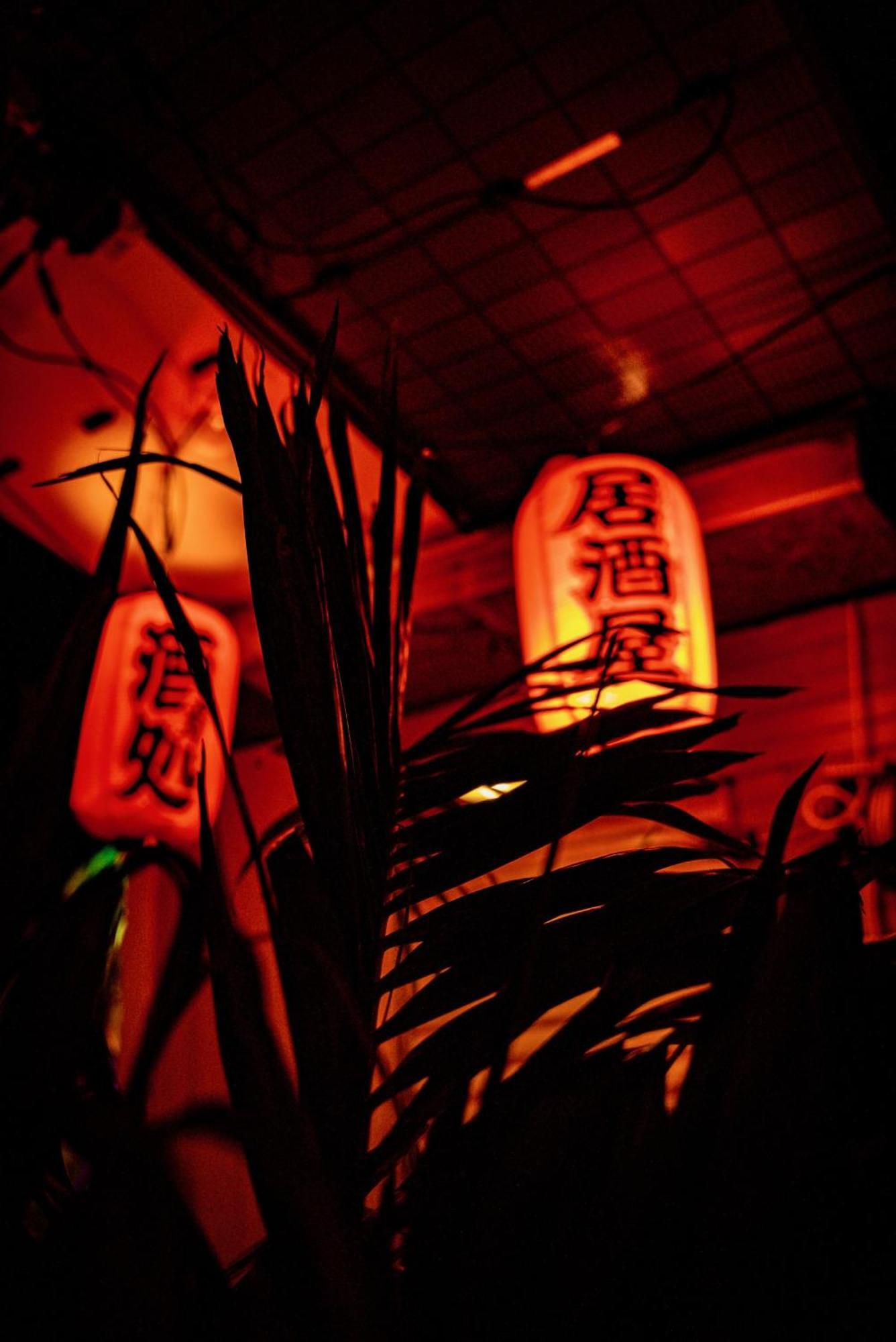 World Solo Travel'S Welcomed At St Pete Home セント・ピーターズバーグ エクステリア 写真